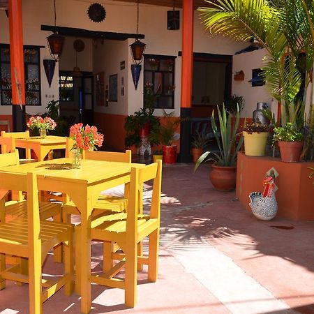 Hostal El Rincon De Los Camellos San Cristóbal de Las Casas 外观 照片