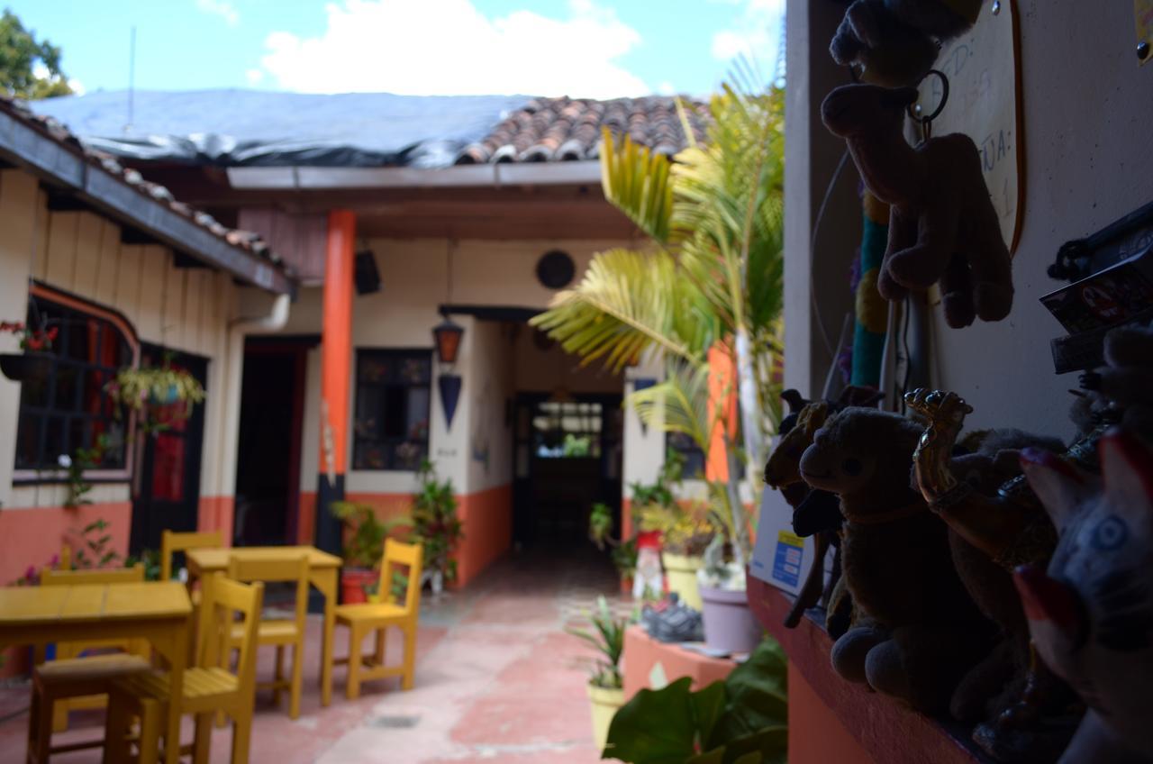 Hostal El Rincon De Los Camellos San Cristóbal de Las Casas 外观 照片