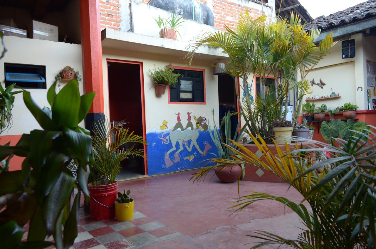 Hostal El Rincon De Los Camellos San Cristóbal de Las Casas 外观 照片