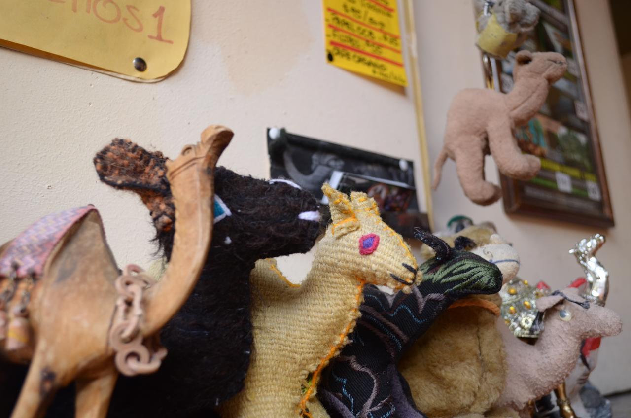 Hostal El Rincon De Los Camellos San Cristóbal de Las Casas 外观 照片