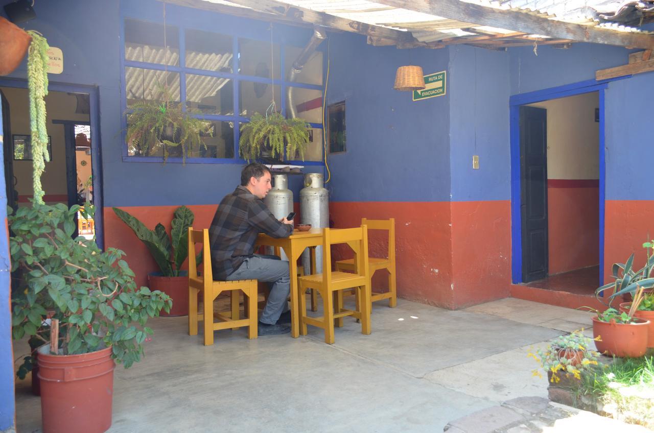 Hostal El Rincon De Los Camellos San Cristóbal de Las Casas 外观 照片