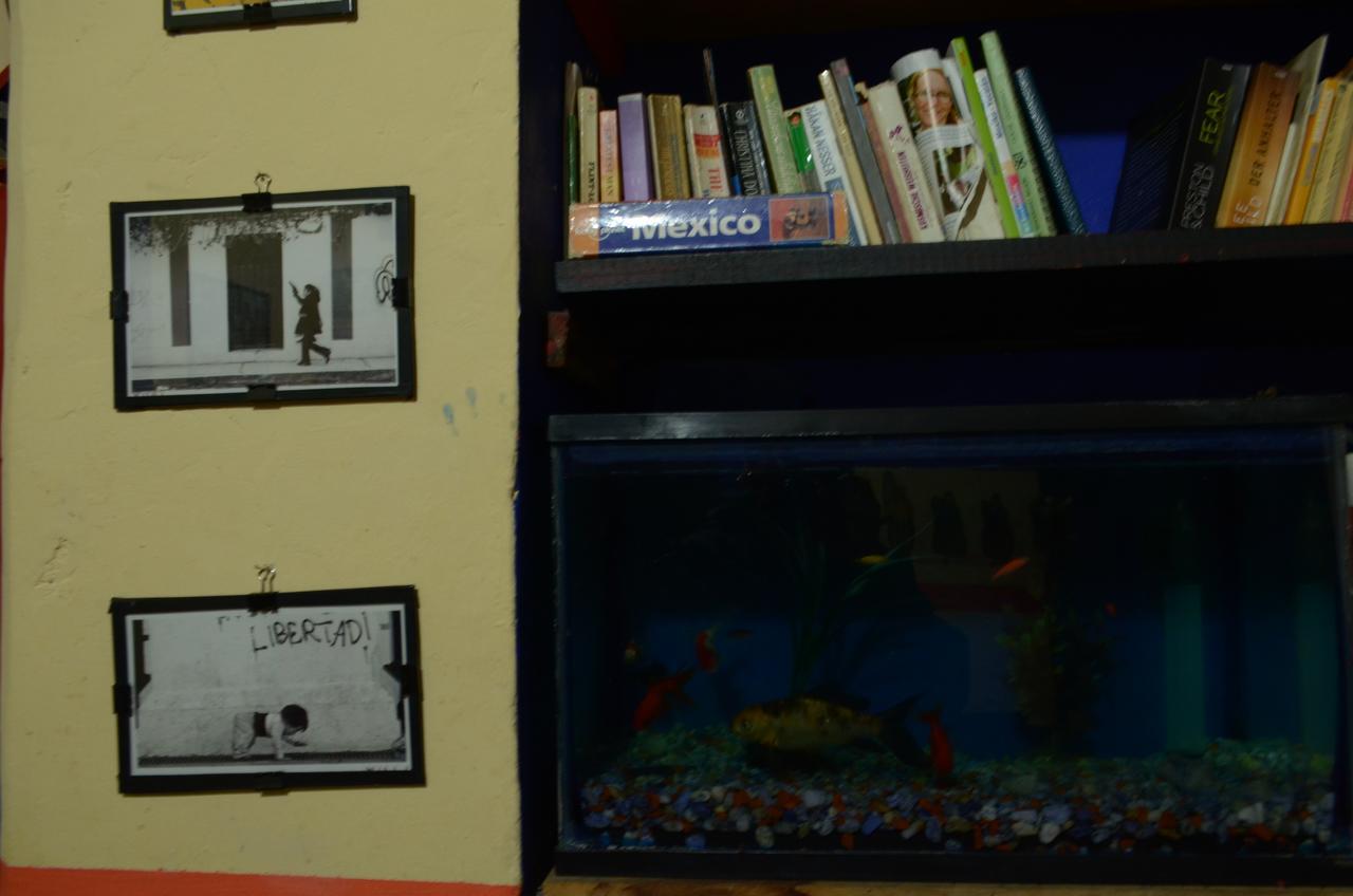 Hostal El Rincon De Los Camellos San Cristóbal de Las Casas 外观 照片