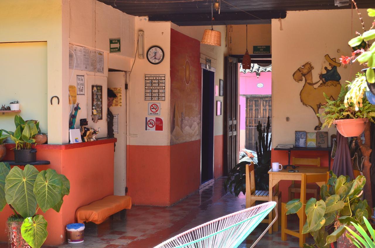 Hostal El Rincon De Los Camellos San Cristóbal de Las Casas 外观 照片