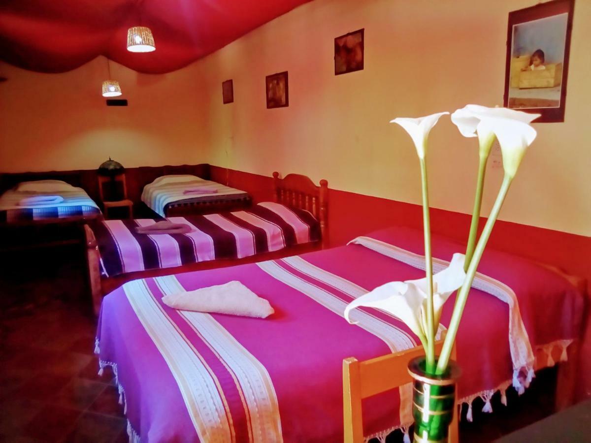 Hostal El Rincon De Los Camellos San Cristóbal de Las Casas 外观 照片